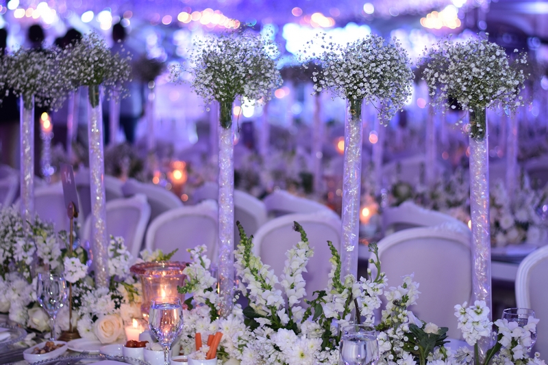 Wedding of Abbas Chamssedine and Manal Safa Part2